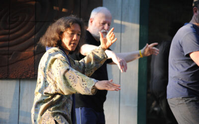 Physical Therapy Recommendations For Preventing Falls and Risks with Tai Chi
