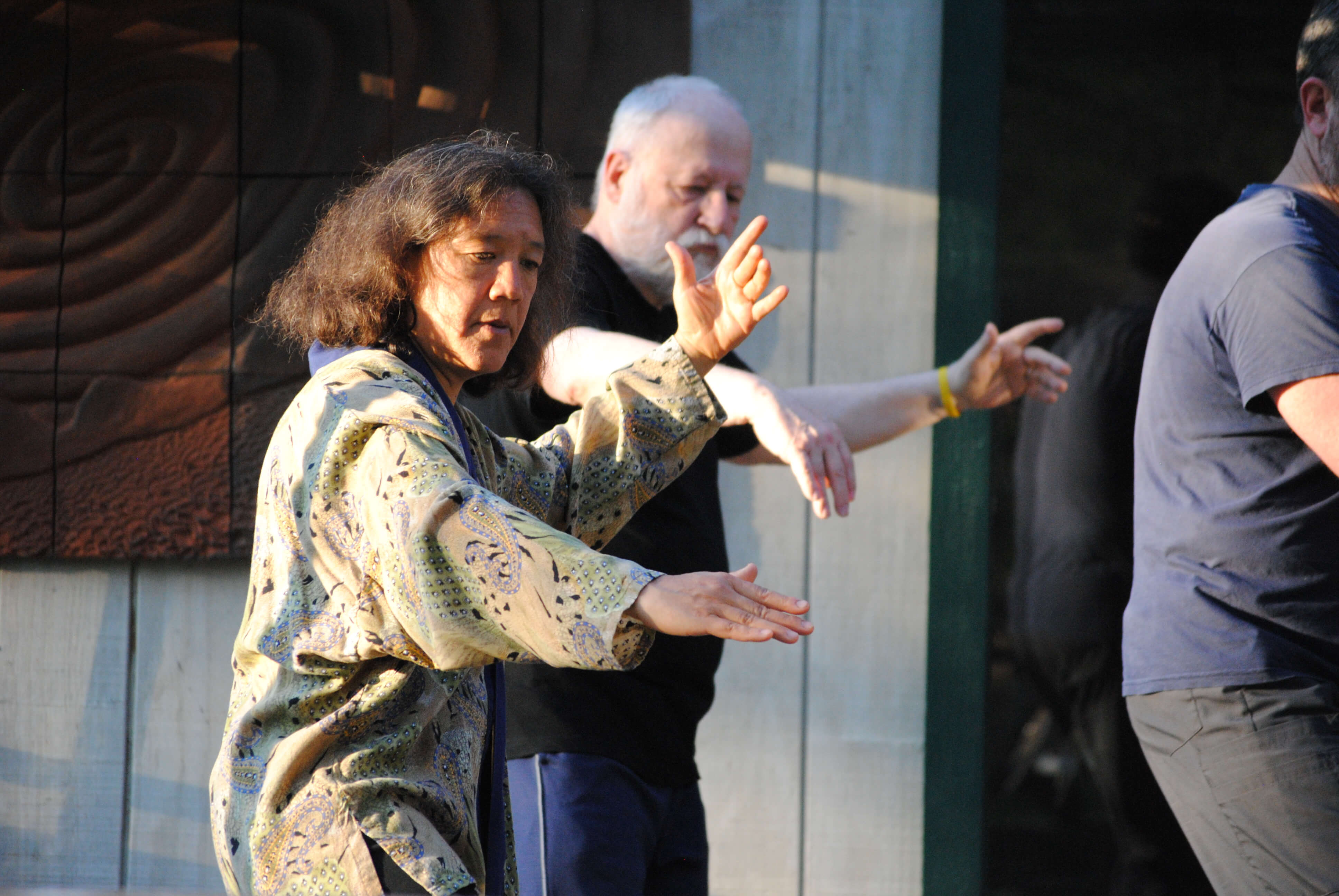 Tai Chi Teacher Students Seniors