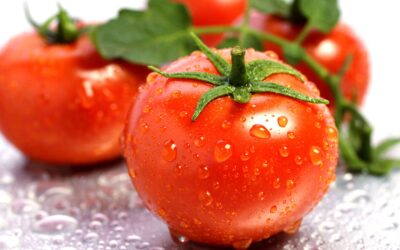 HealthFlex Nutritionist Tip for the Day: The All Mighty Tomato!